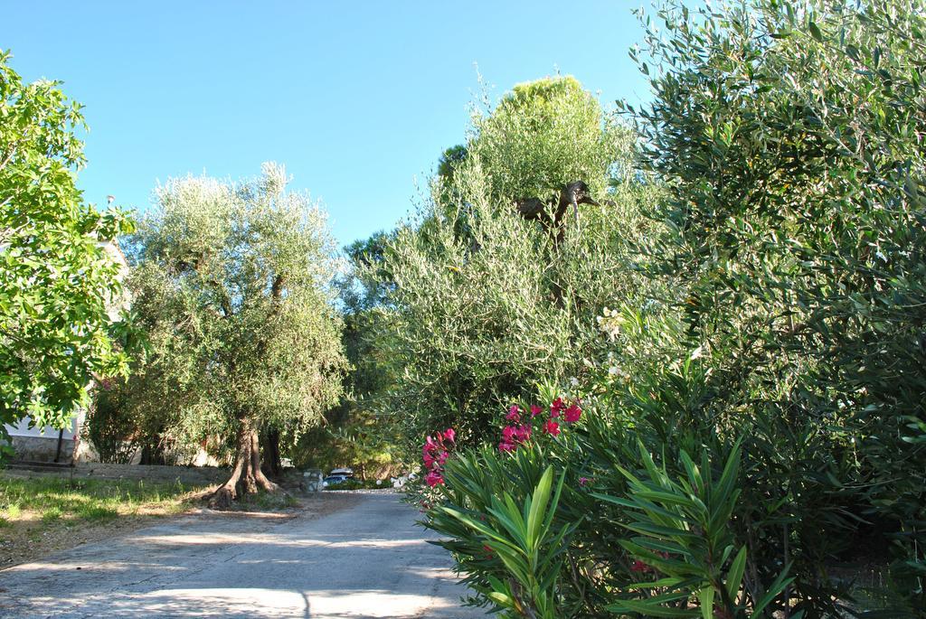 Villa Anna Residence Rodi Rodi Garganico Exterior photo